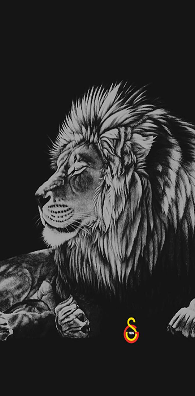 Download Galatasaray Grayscale Lion Wallpaper 
