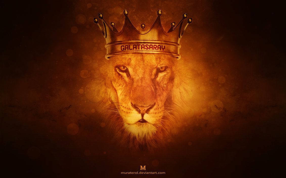 The Majestic Lion King of Galatasaray Wallpaper