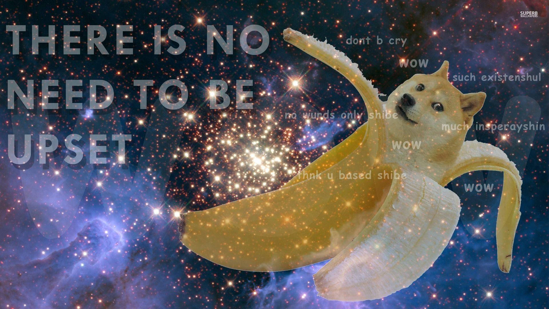 Galaxy Banana Doge Meme Wallpaper