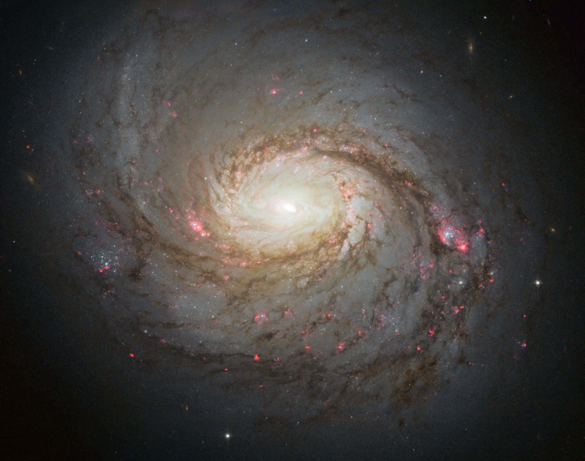 Galaxy billeder gnistrende med kosmiske støv partikler