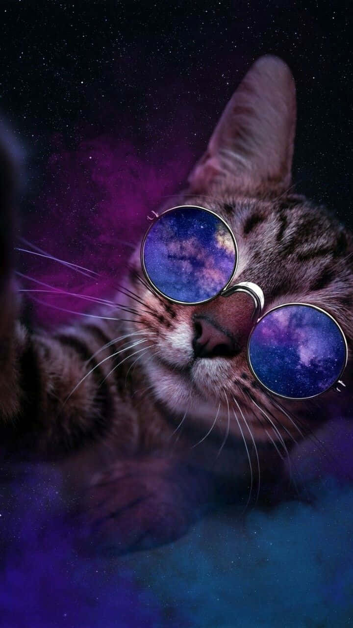 Bildförverkliga Dina Drömmar Med Galaxy-katten Som Bakgrundsbild På Datorn Eller Mobilen. Wallpaper
