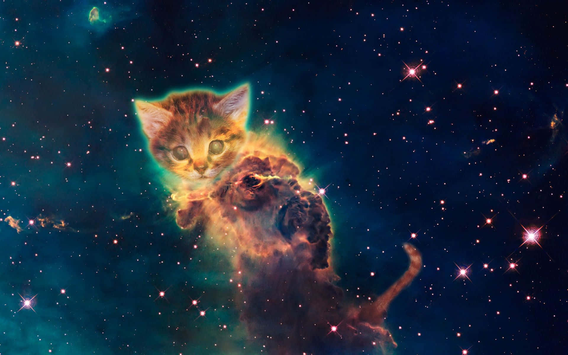 Galaxy Nebula Forming Cat Background