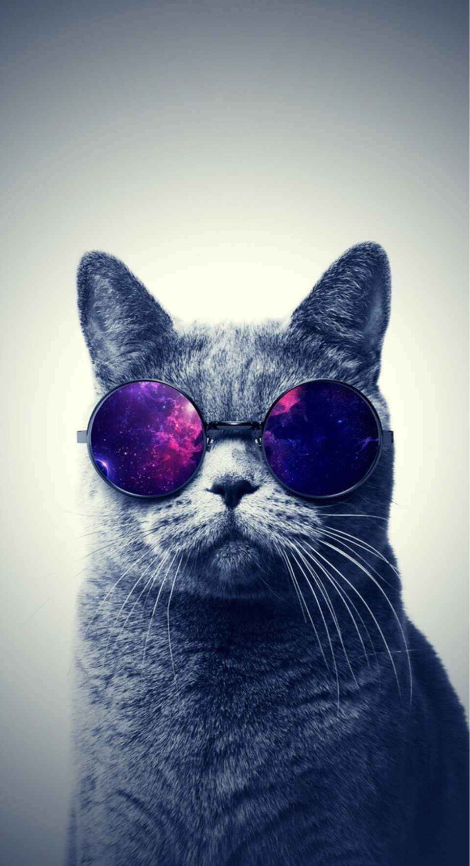 Galaxy Cat Wallpapers  Top Free Galaxy Cat Backgrounds  WallpaperAccess