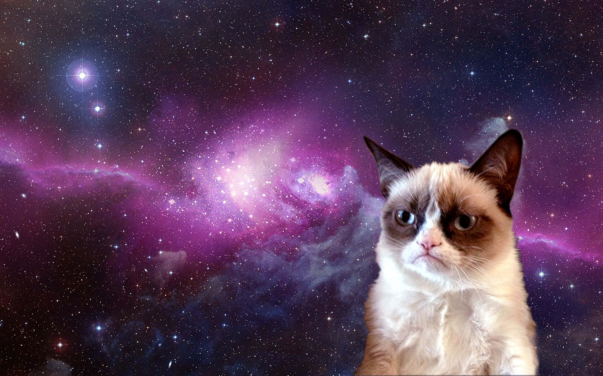 "Come explore the universe with Galaxy Cat!" Wallpaper