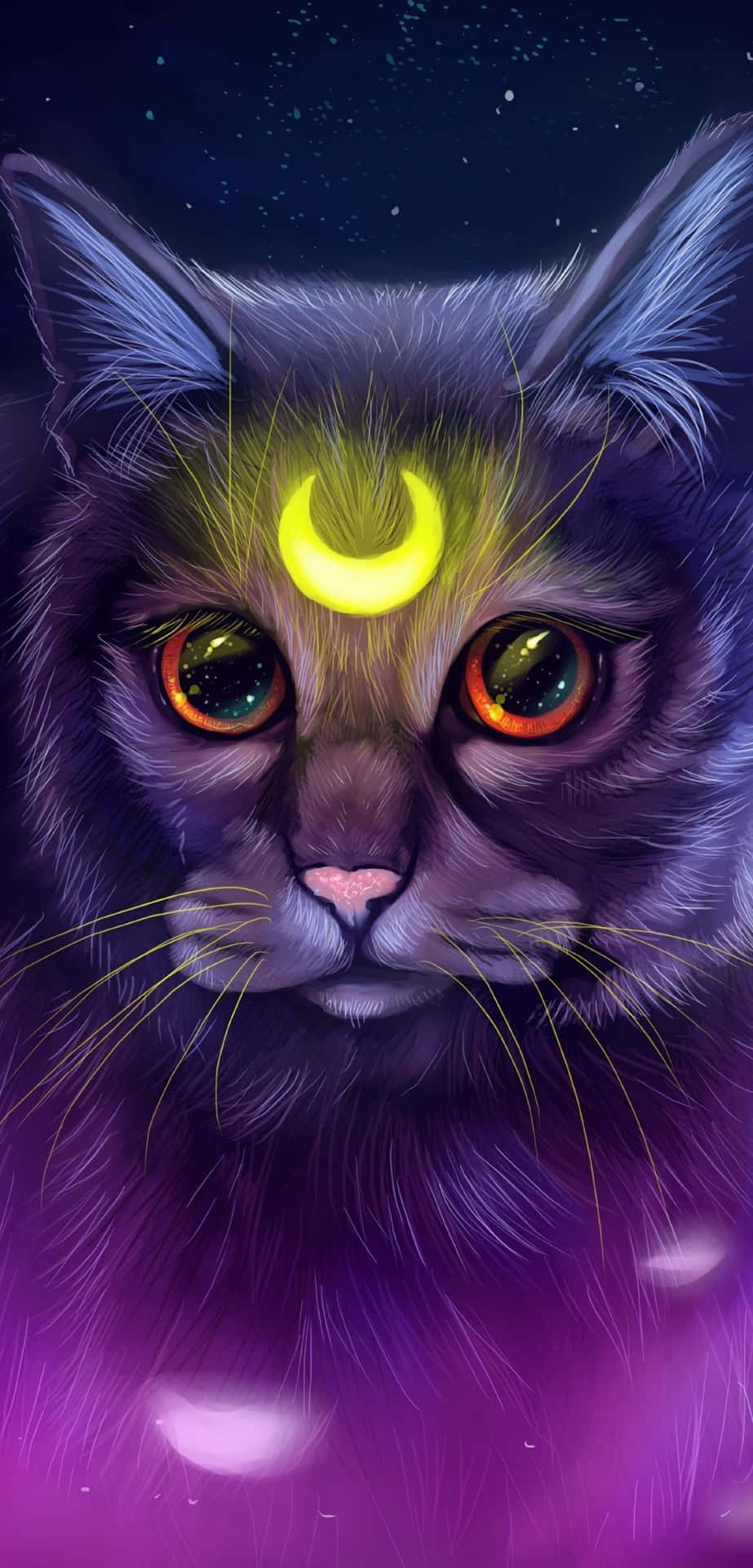 Udforsk natten himmel med den eventyrlystne Galaxy Cat Wallpaper! Wallpaper