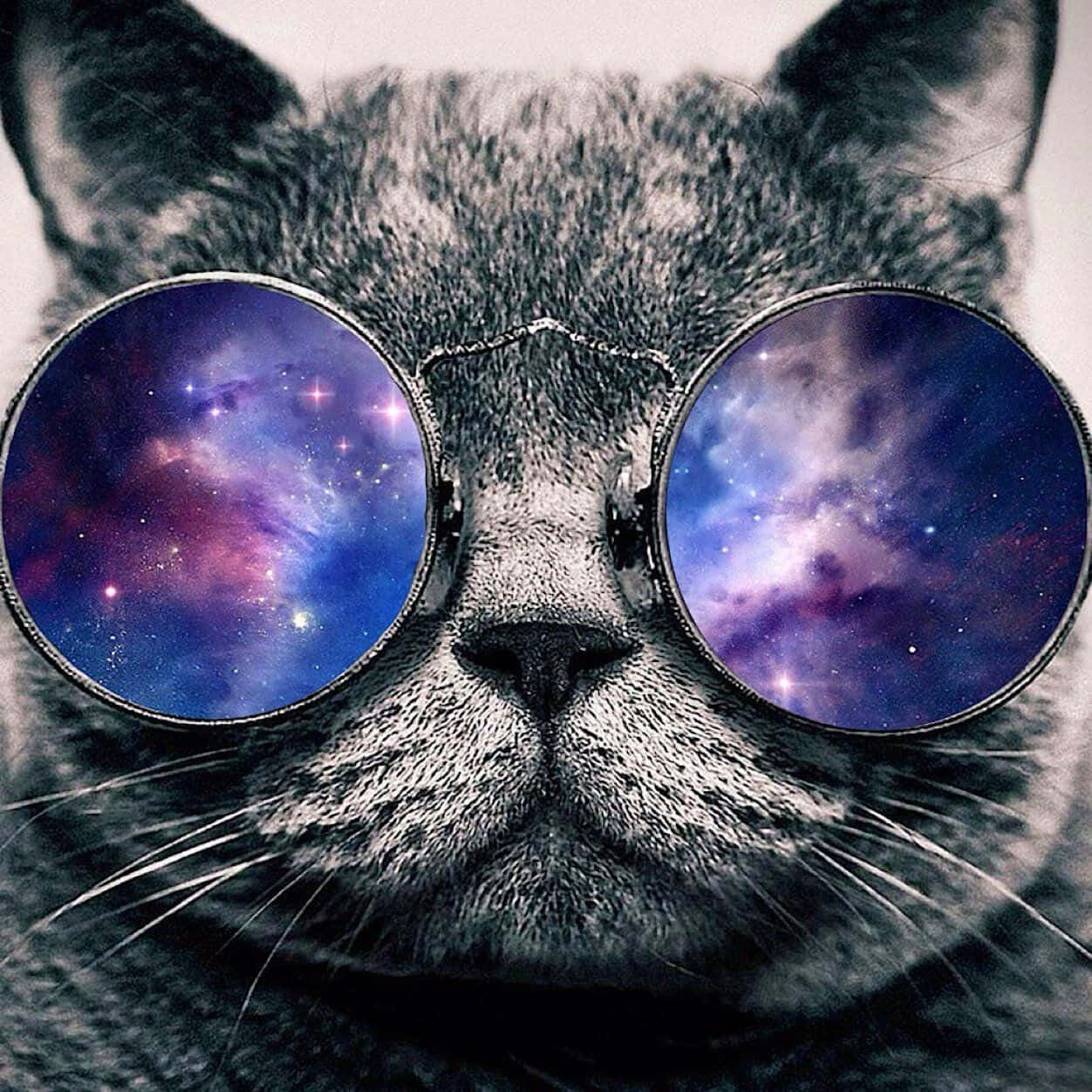 En drømmende, galaktisk kat, der kigger ud i den mørke nattehimmel. Wallpaper