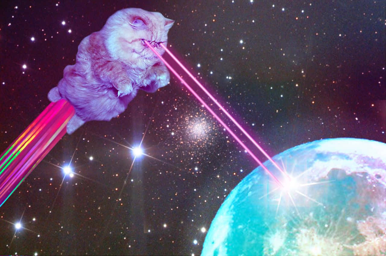 Utforsk dybden af universet med Galaxy Cat Wallpaper
