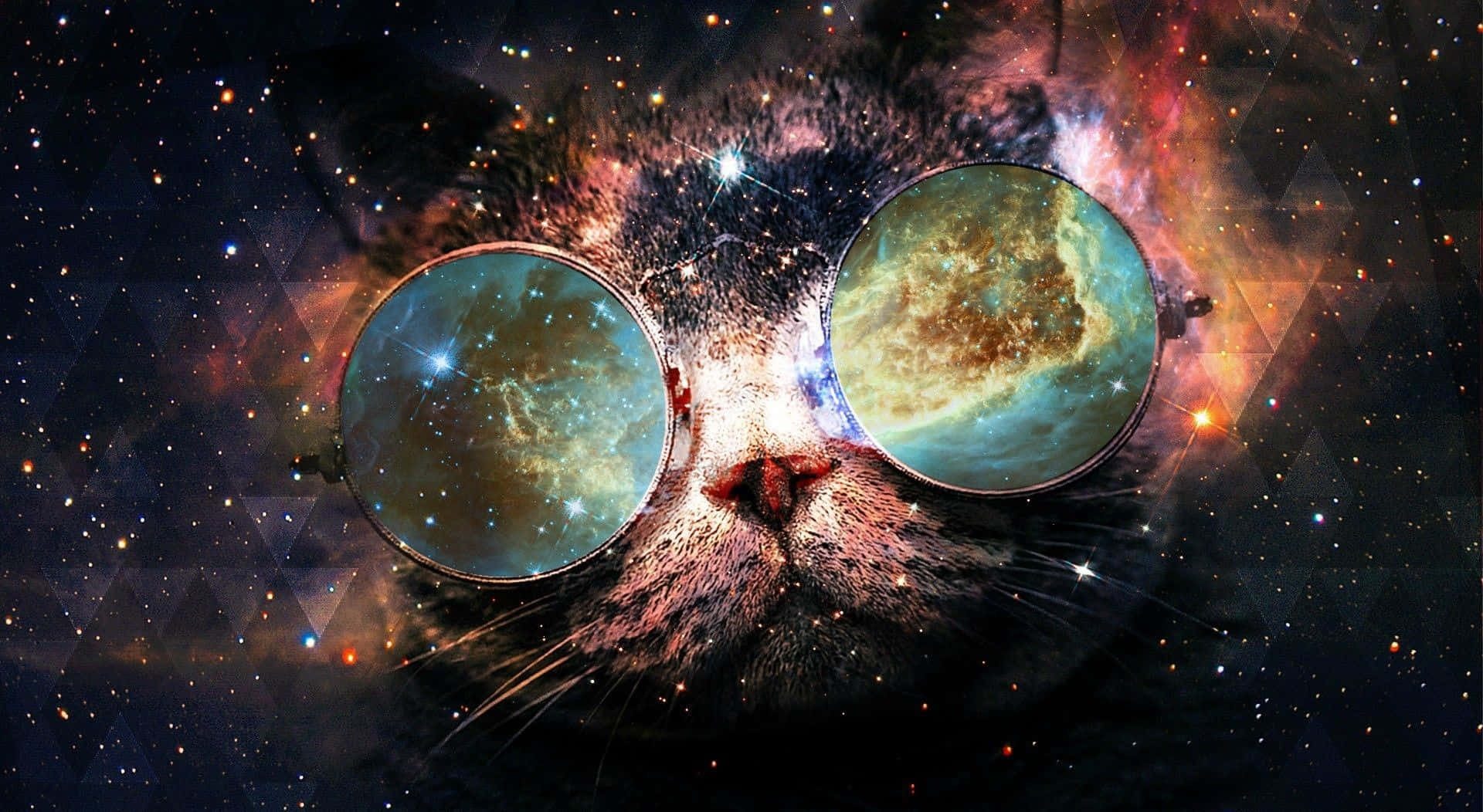 Sød kat krammer med et galaks af drømme Wallpaper