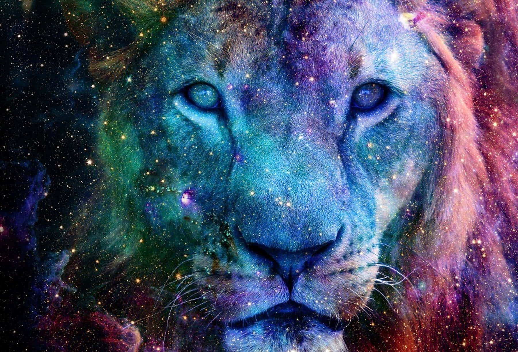 Download Galaxy Lion Background | Wallpapers.com