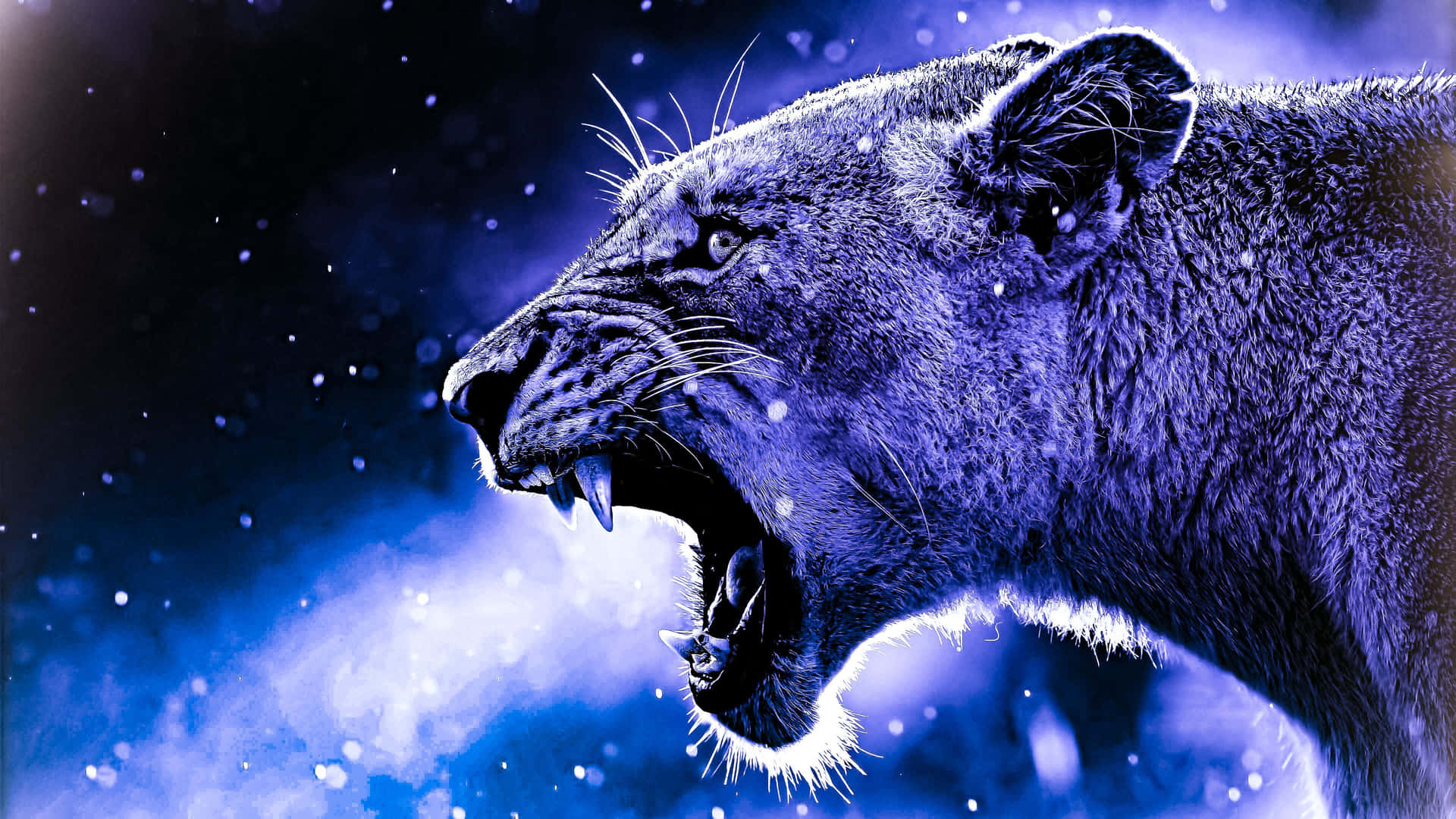 Galaxy Lion Background