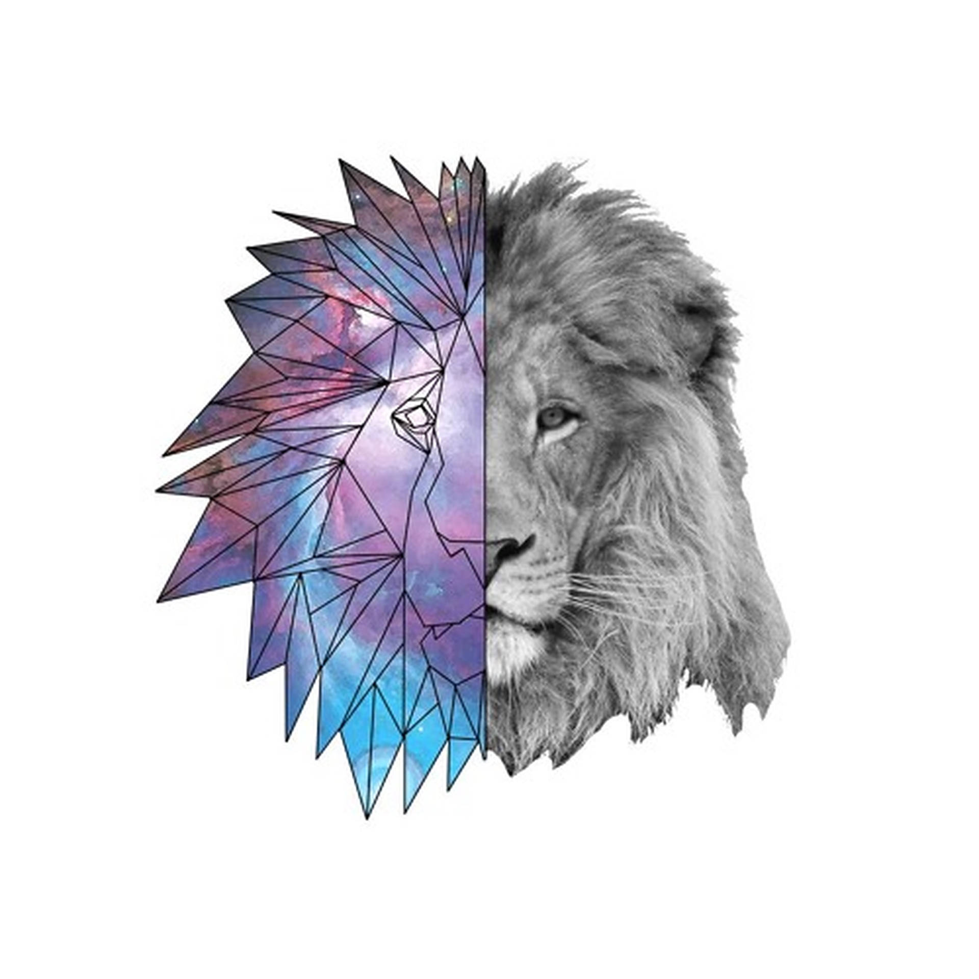 Galaxy Lion Polygon Art Background