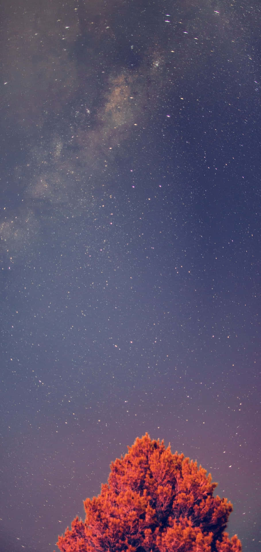 Galaxy S10 Plus Background