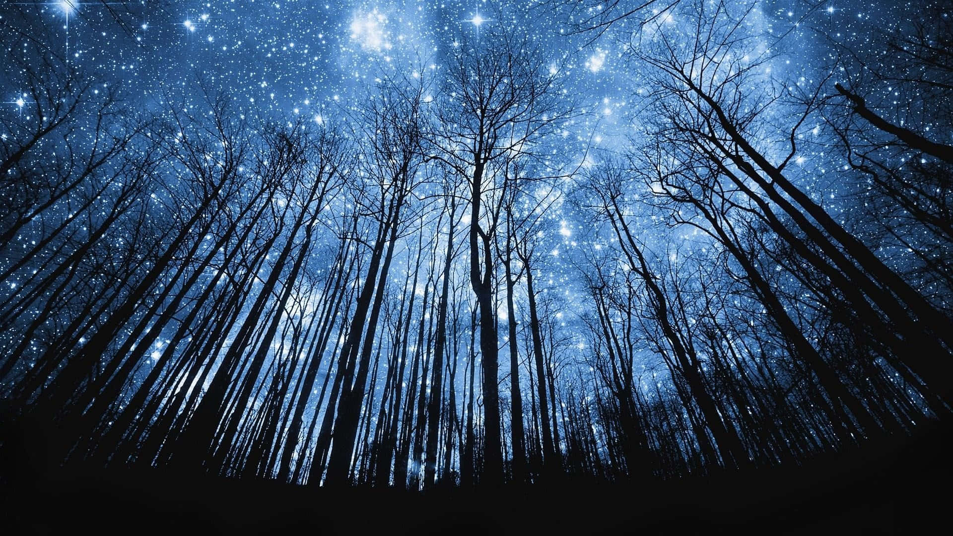 Galaxy Sky Trees Silhouettes Wallpaper