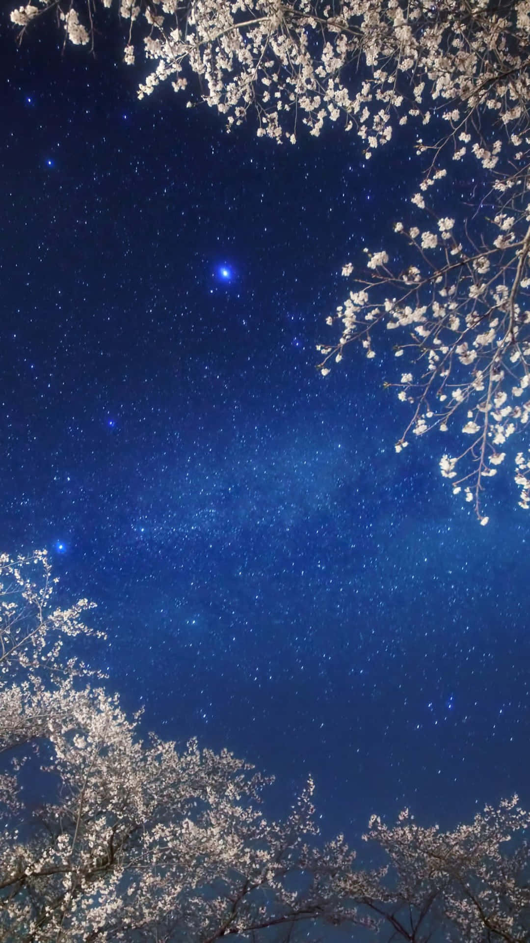 Eineblendende Weite Von Lichtern Am Nachthimmel Wallpaper