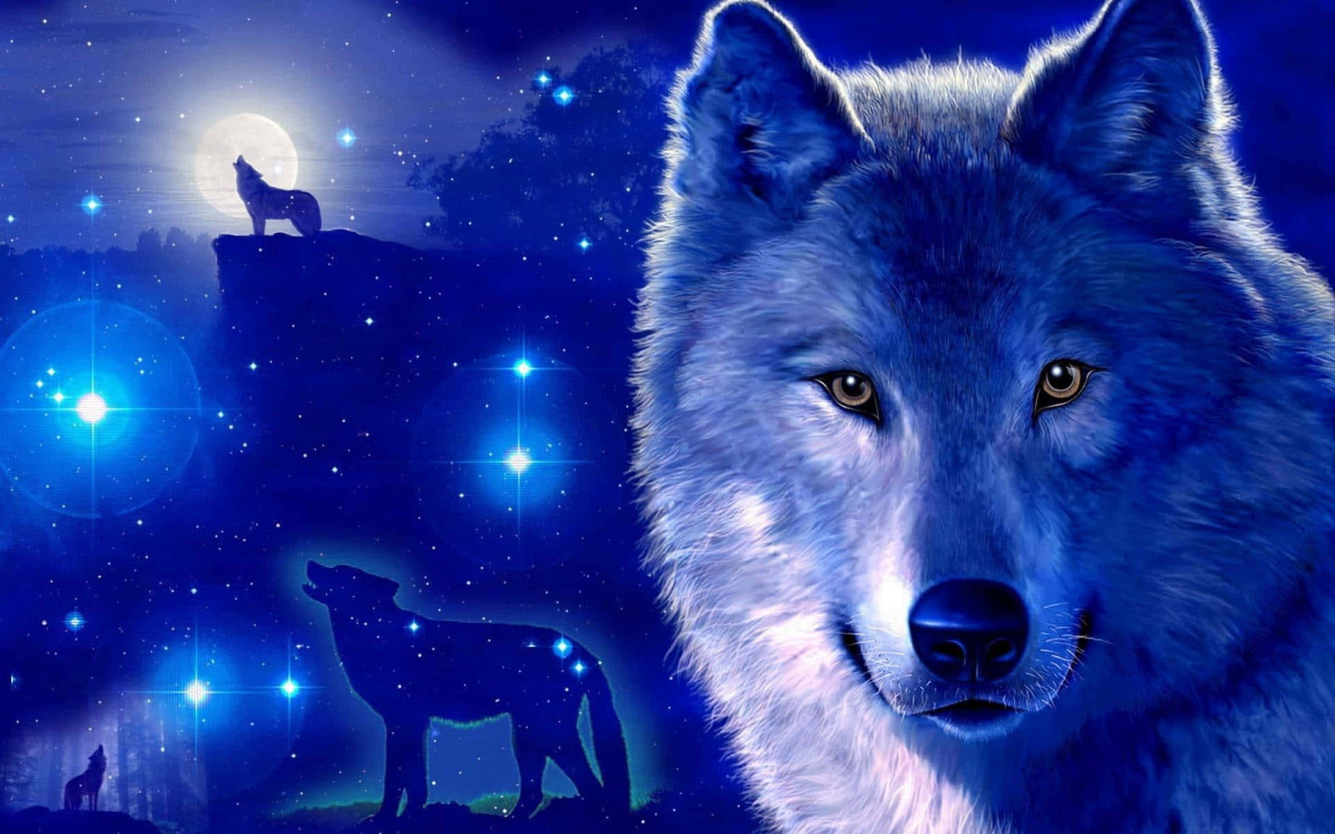 Experience the beauty of the stars with Galaxy Wolf