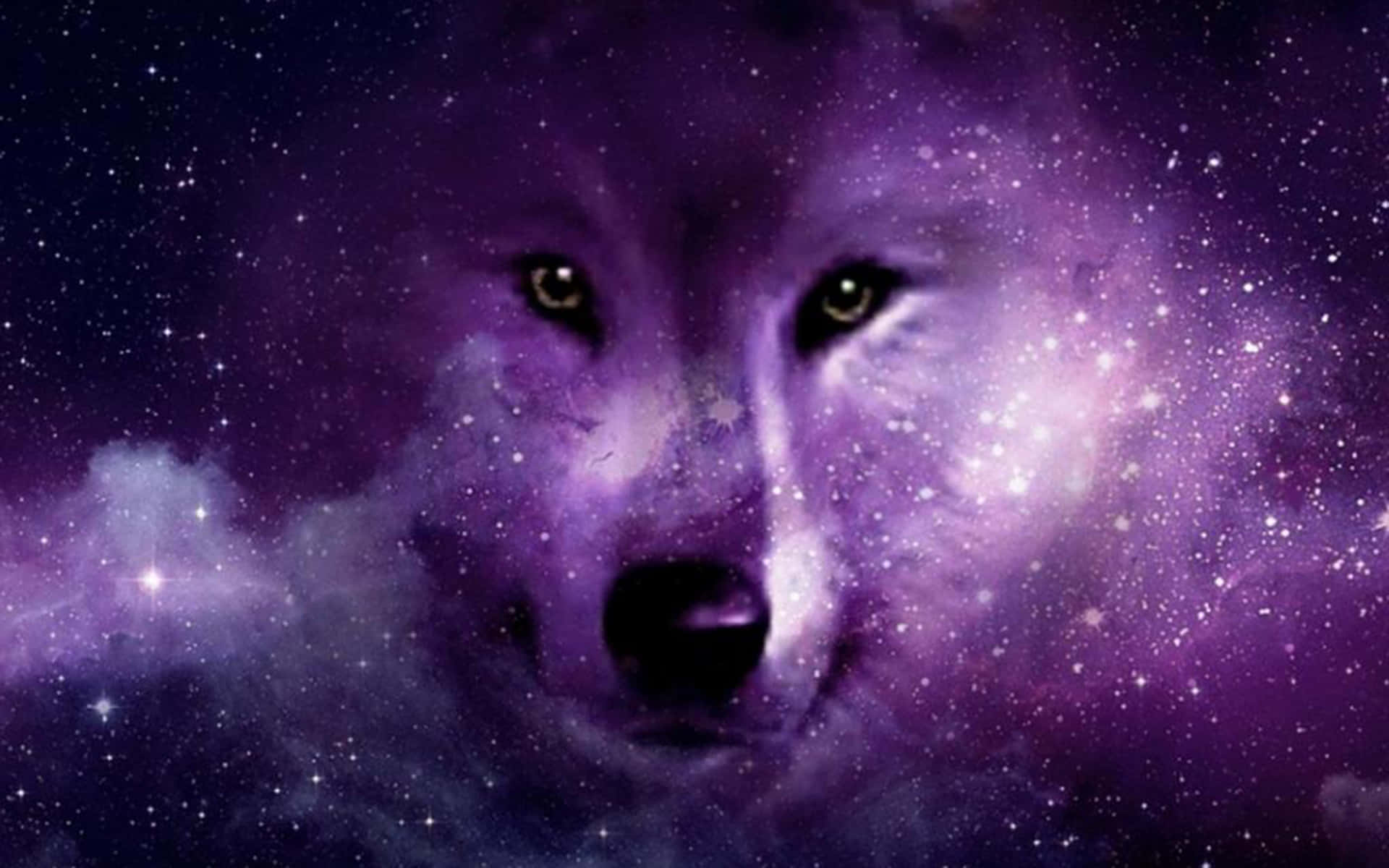 Galaxy Wolfin Stars Wallpaper