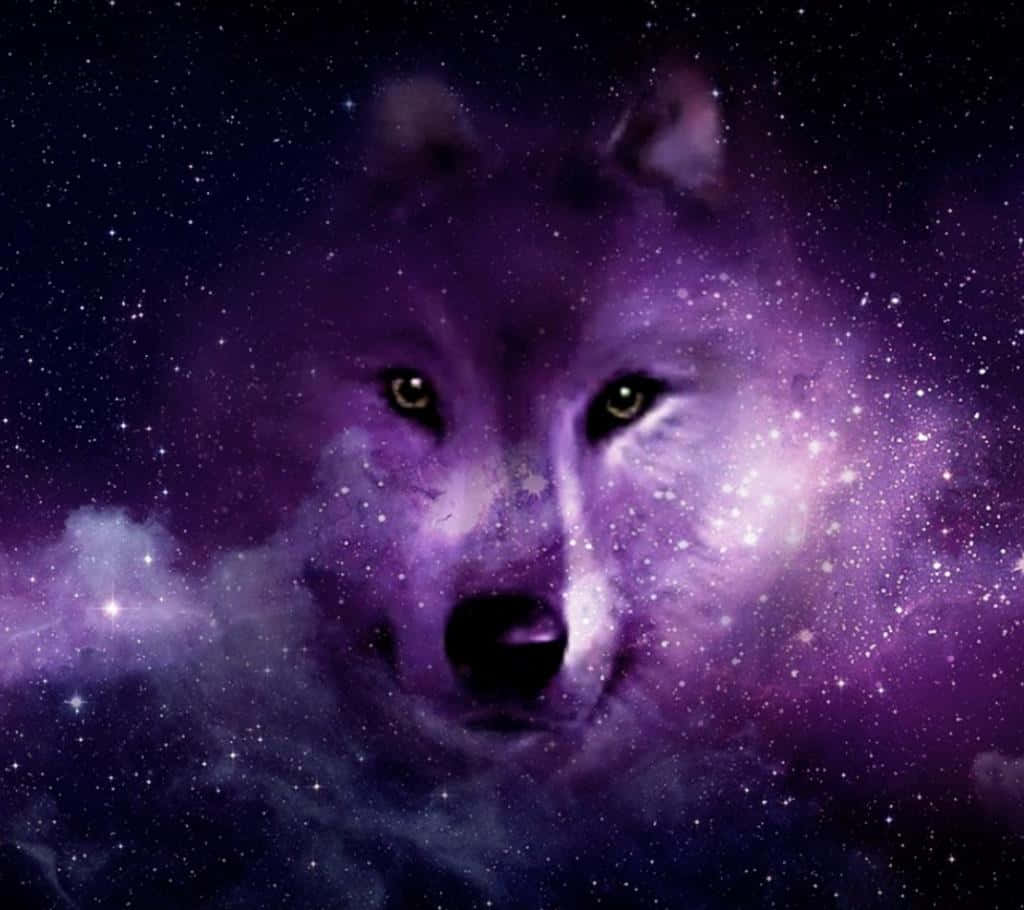 Galaxy Wolves Iphone Screen Theme Wallpaper