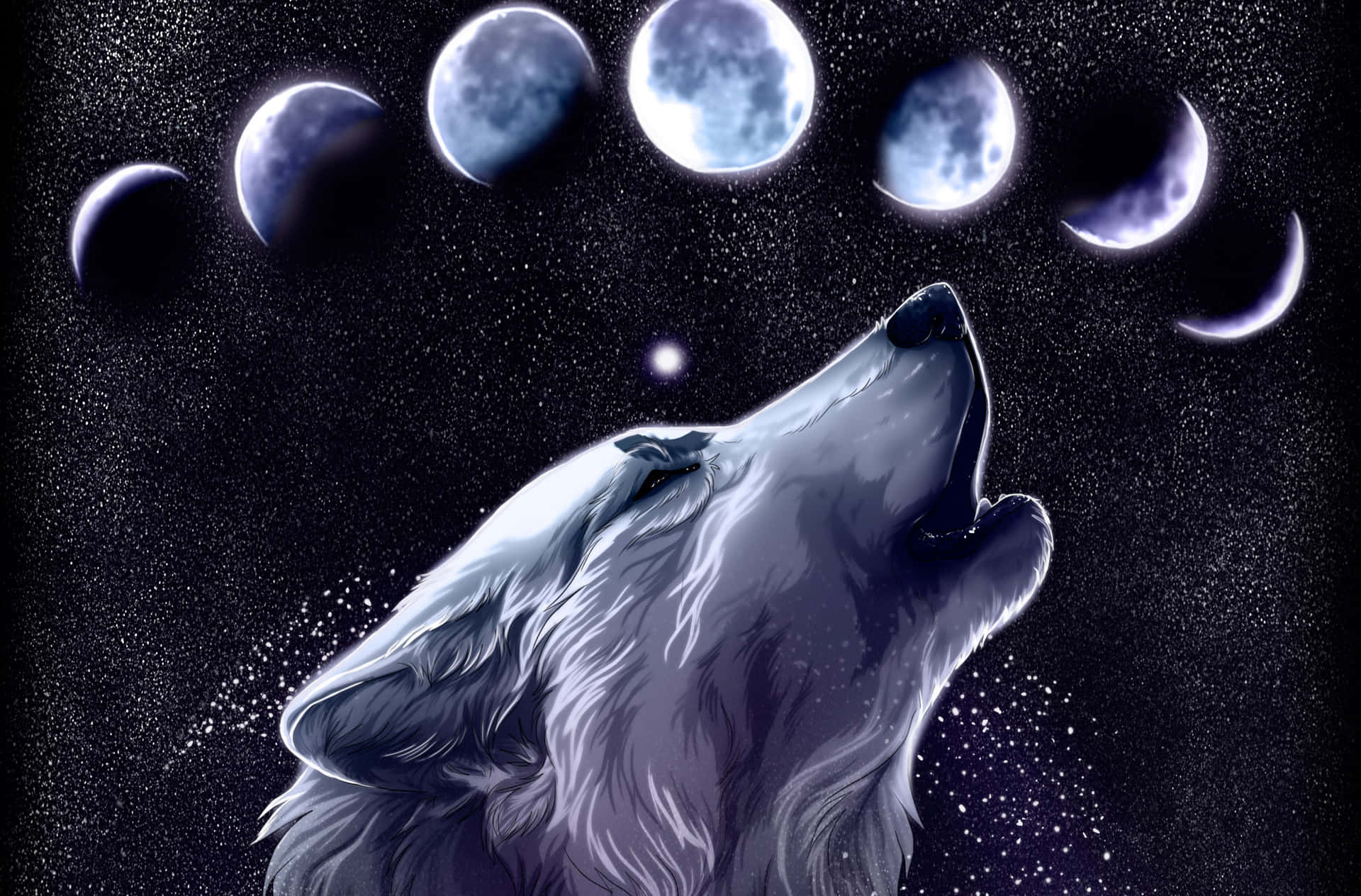 Diemajestätischen Galaxy-wölfe, Die Den Sternenklaren Nachthimmel Betrachten. Wallpaper