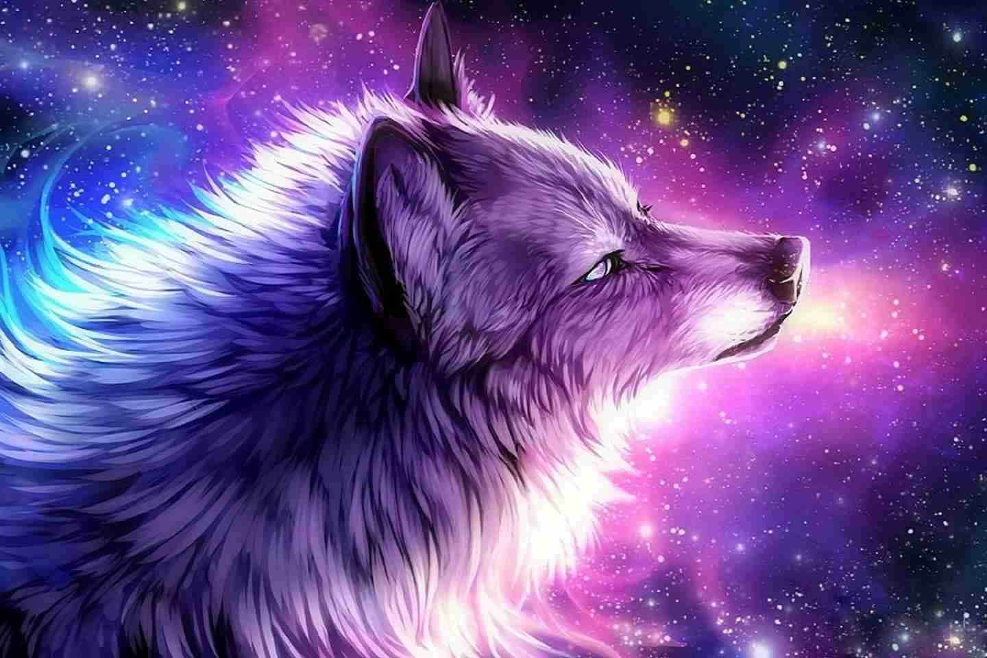 Bravely explore the depths of the universe with these majestic galaxy wolves. Wallpaper