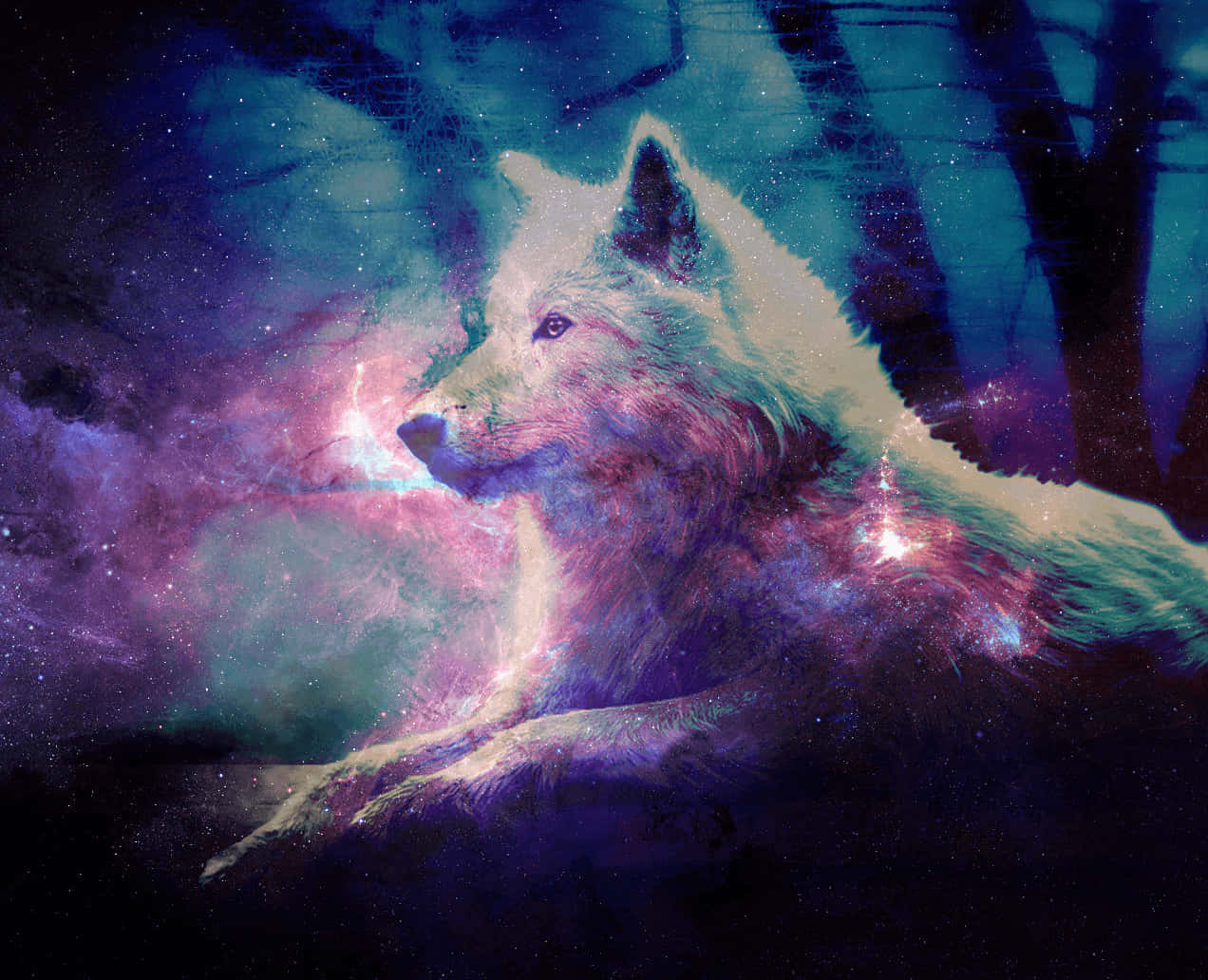 Look up at the wonders of the night sky with the mystical galaxy wolves Wallpaper
