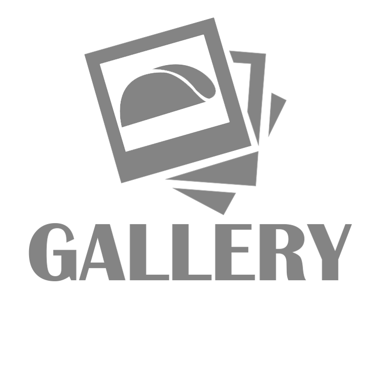 Gallery Icon Gray Background PNG