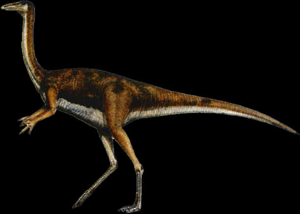 Gallimimus Dinosaur Illustration PNG