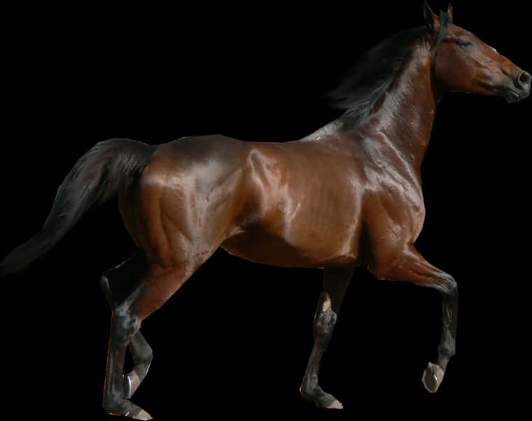 Galloping Bay Horse Black Background PNG