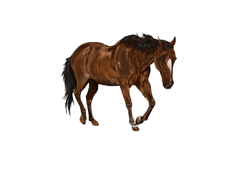 Galloping Brown Horse Illustration PNG