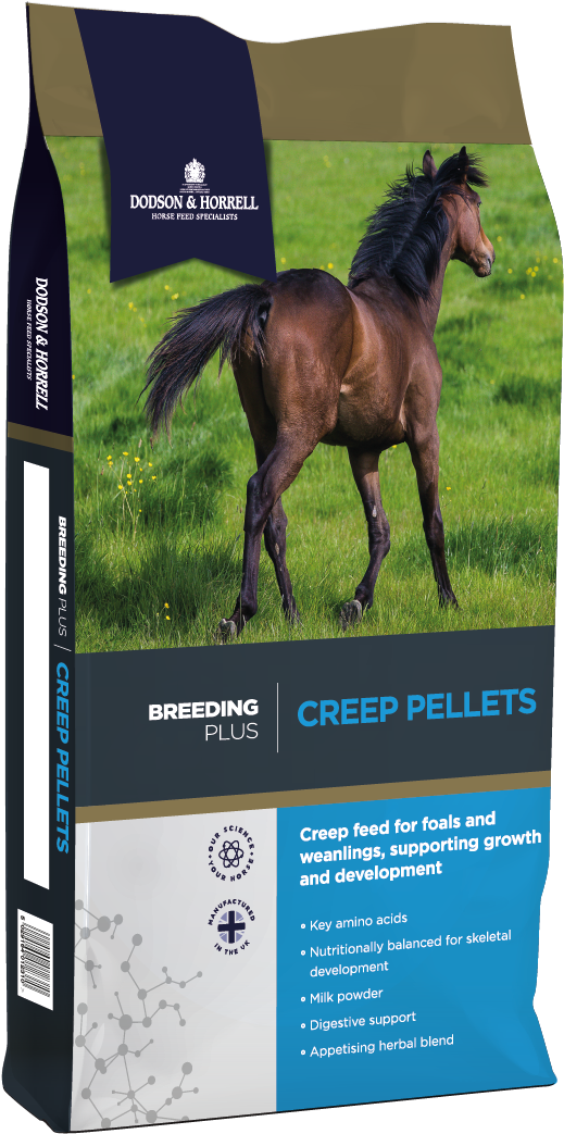 Galloping Foalin Field Horse Feed Package PNG