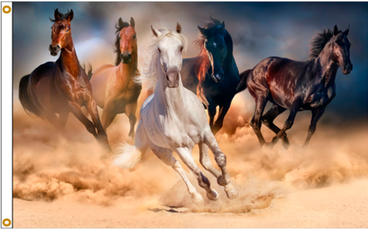Galloping Horsesin Dust PNG