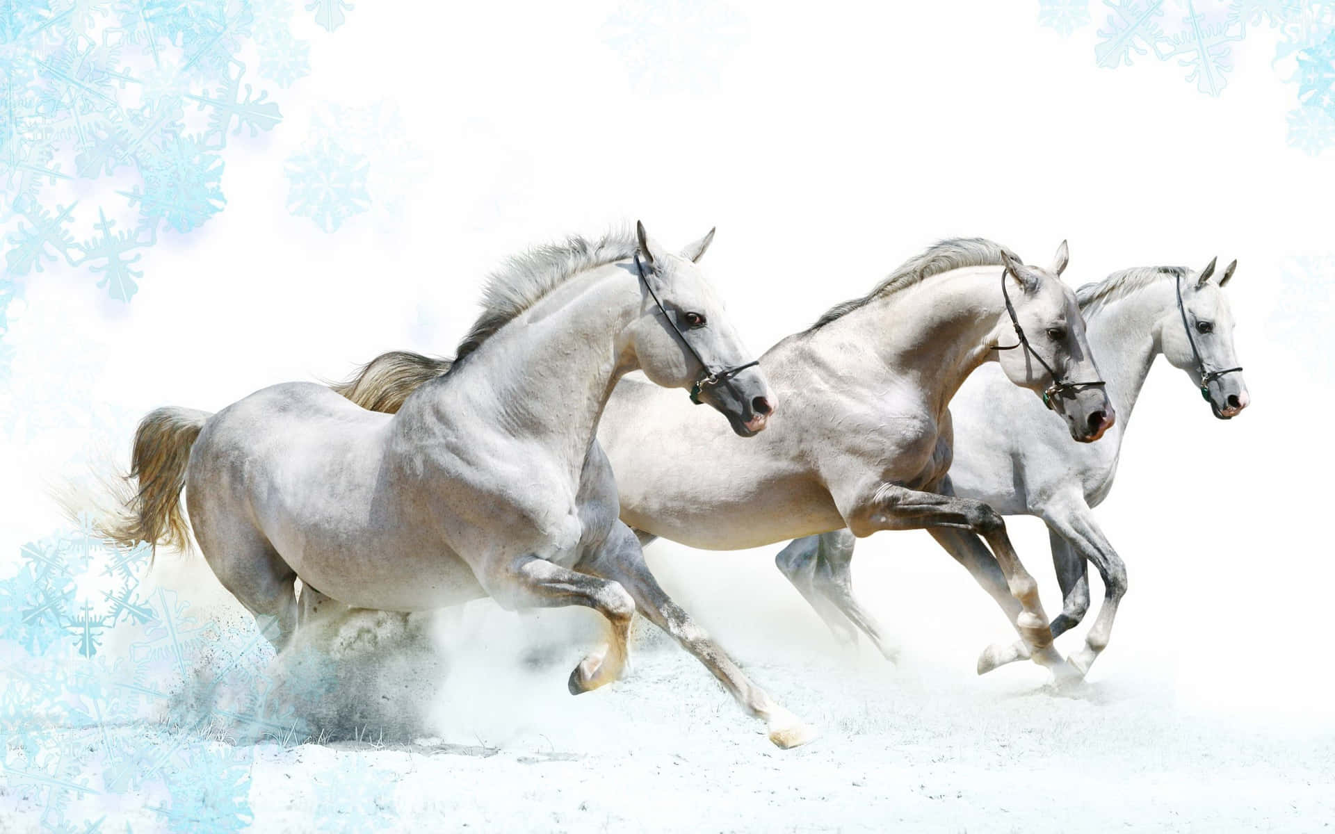 Galloping White Horses Winter Fantasy Wallpaper