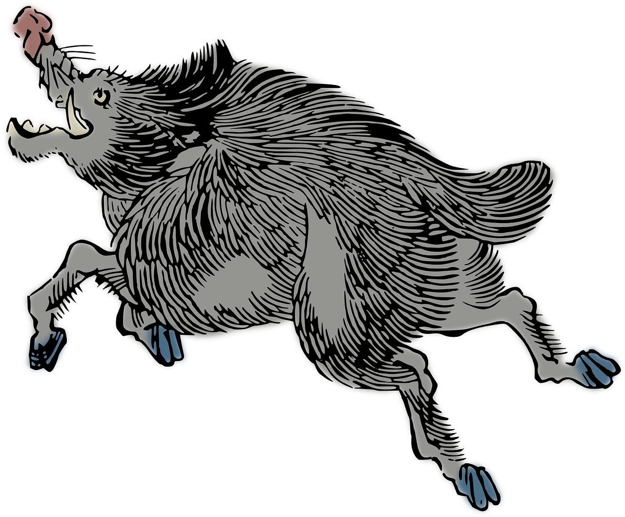 Galloping Wild Boar Illustration PNG
