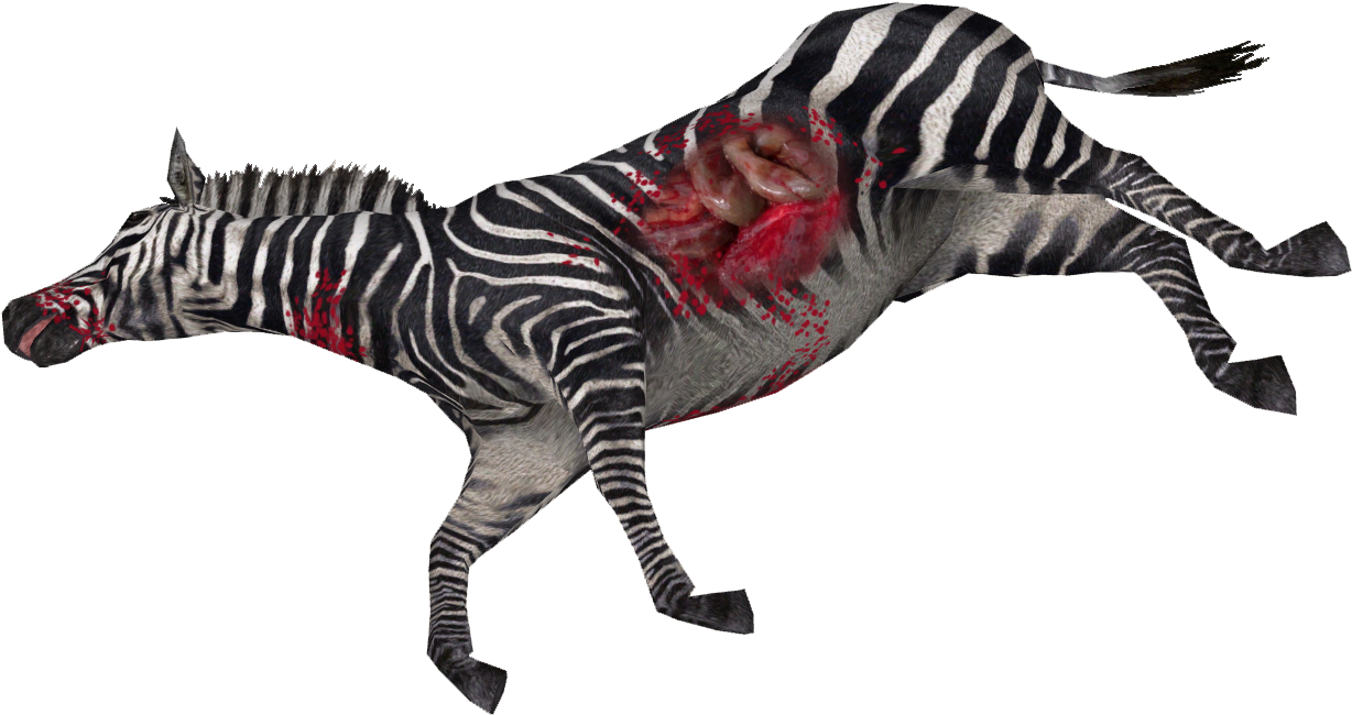 Galloping Zebra Injury PNG