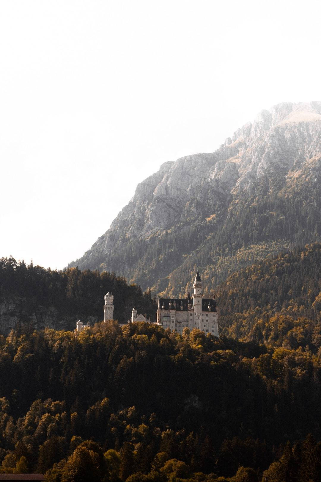 Gambar Castle In Forest