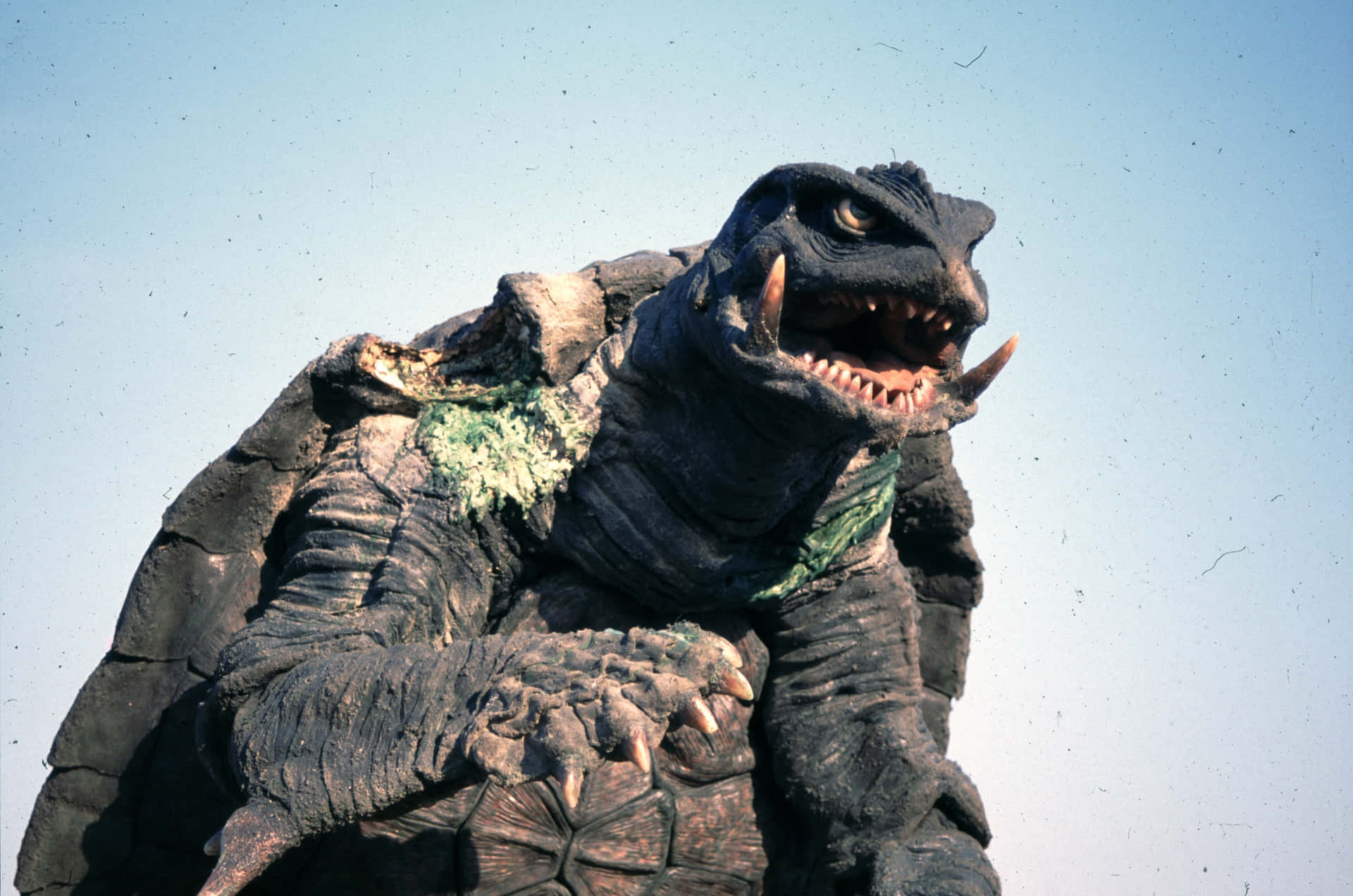 Gamera: The Giant Protector Wallpaper