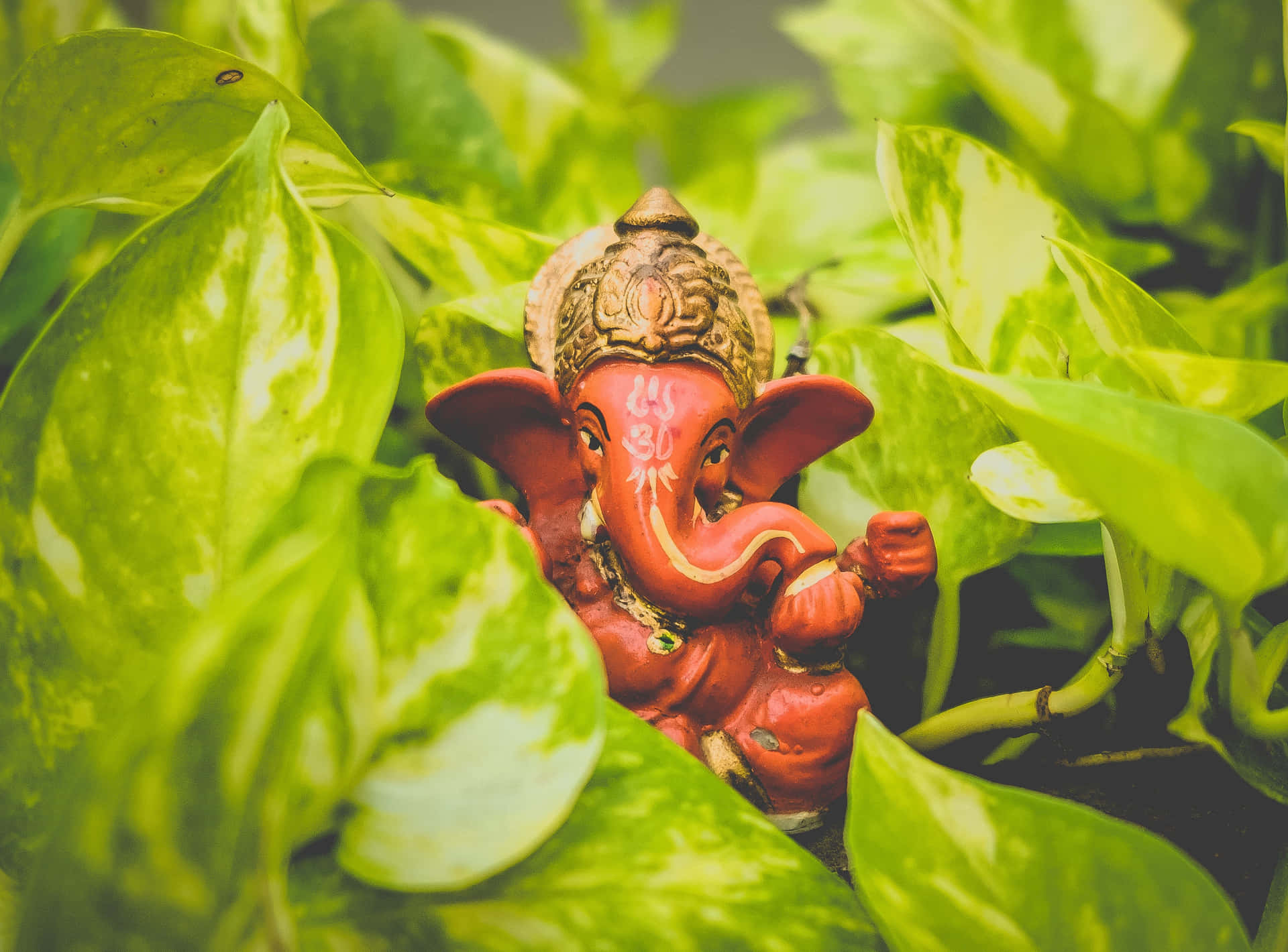 Enliten Staty Av Ganesha Som Sitter I En Grön Växt.