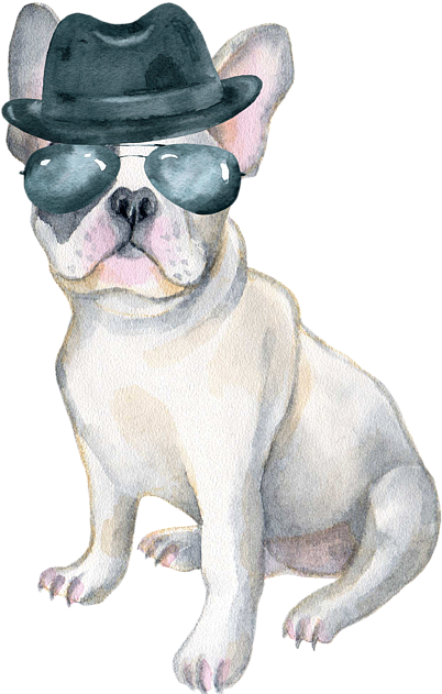 Gangster French Bulldogin Hatand Sunglasses PNG