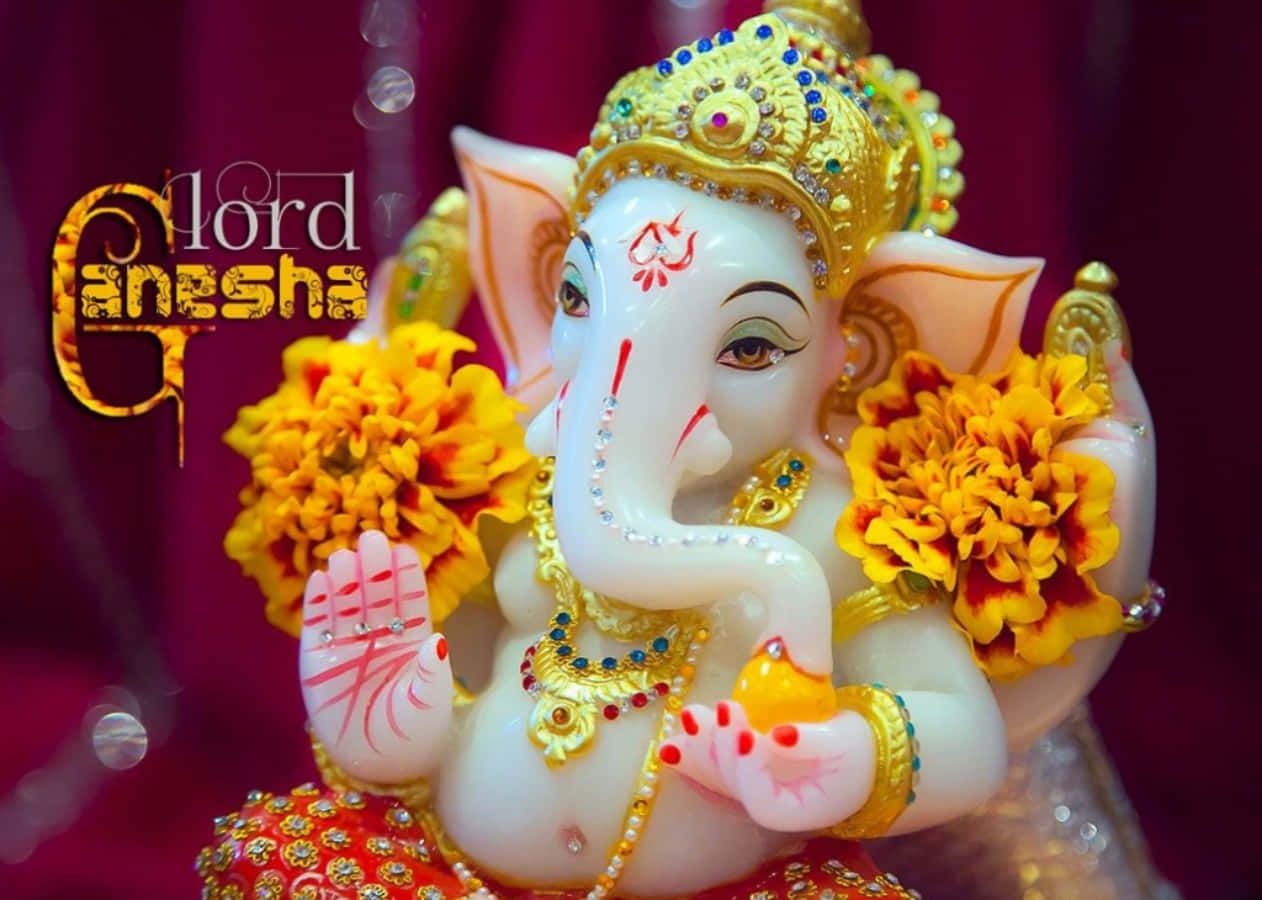 Ganesha Bappa Herre Ganesha billede HD Wallpaper
