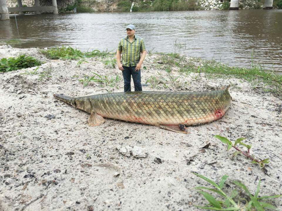 A Man Standing Next To A Large Fish