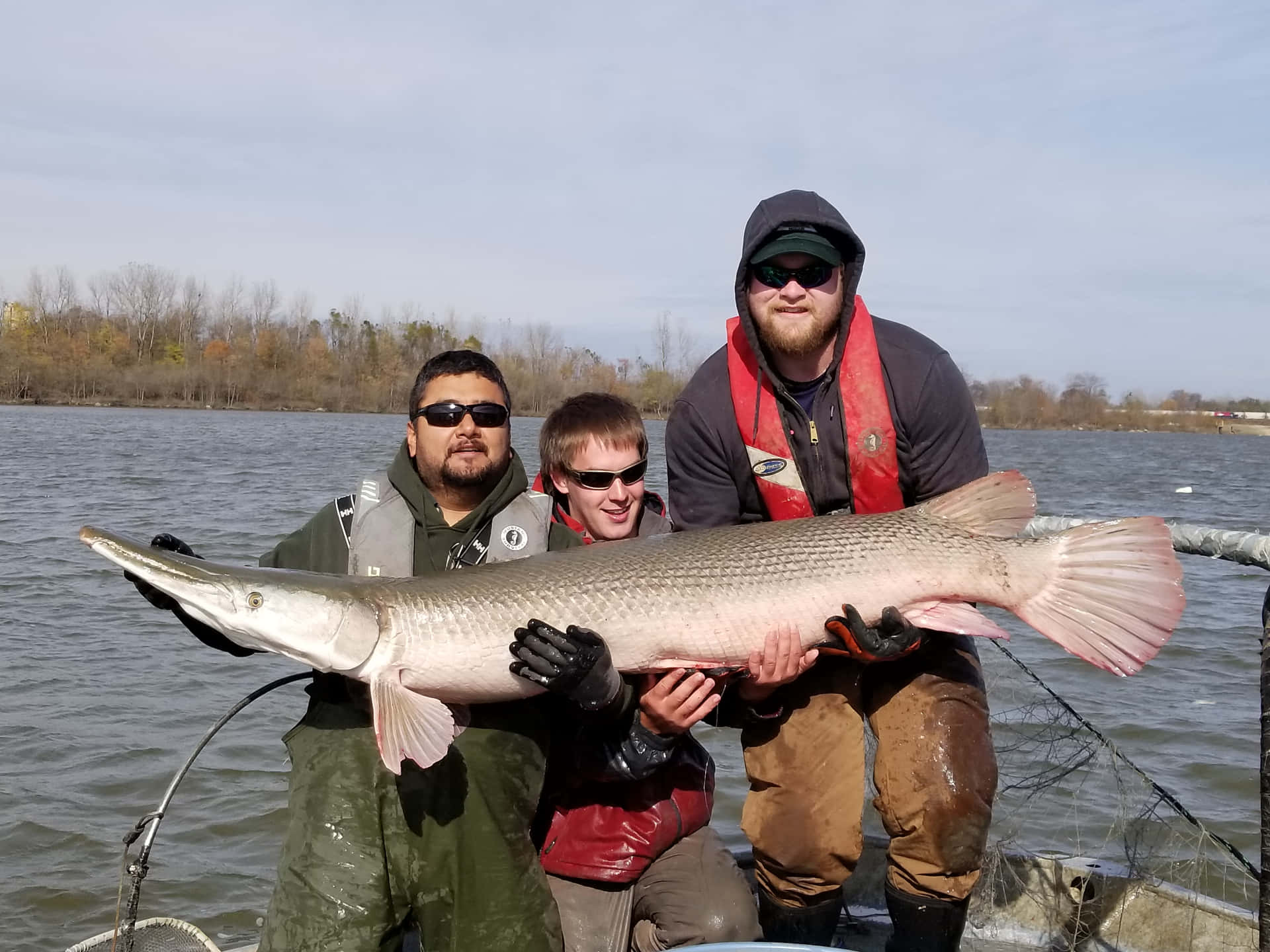 Three Men Holding A Large Pike Fish On A Boat