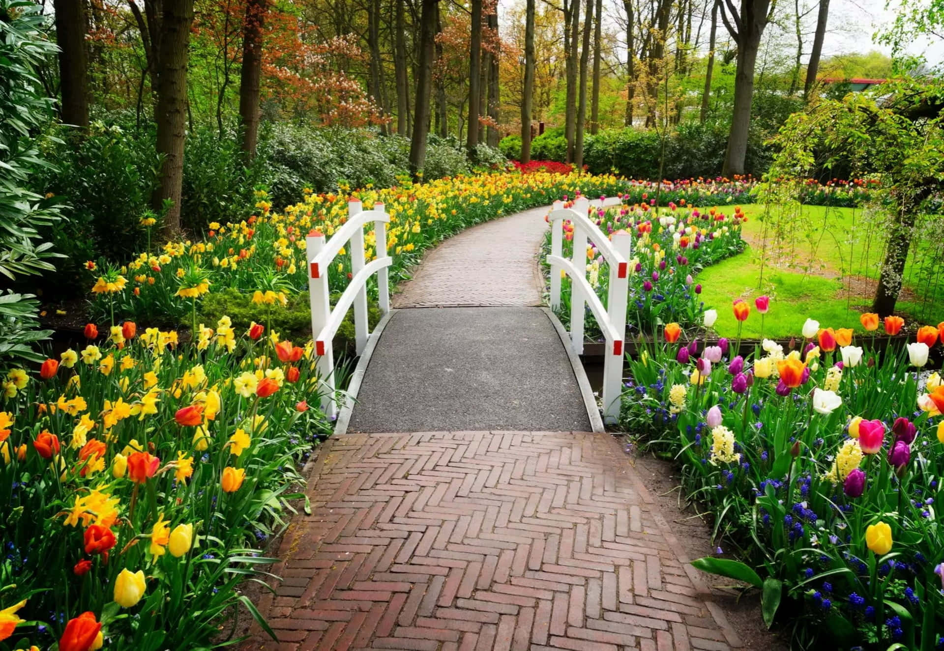 a walkway leading to a colorful garden