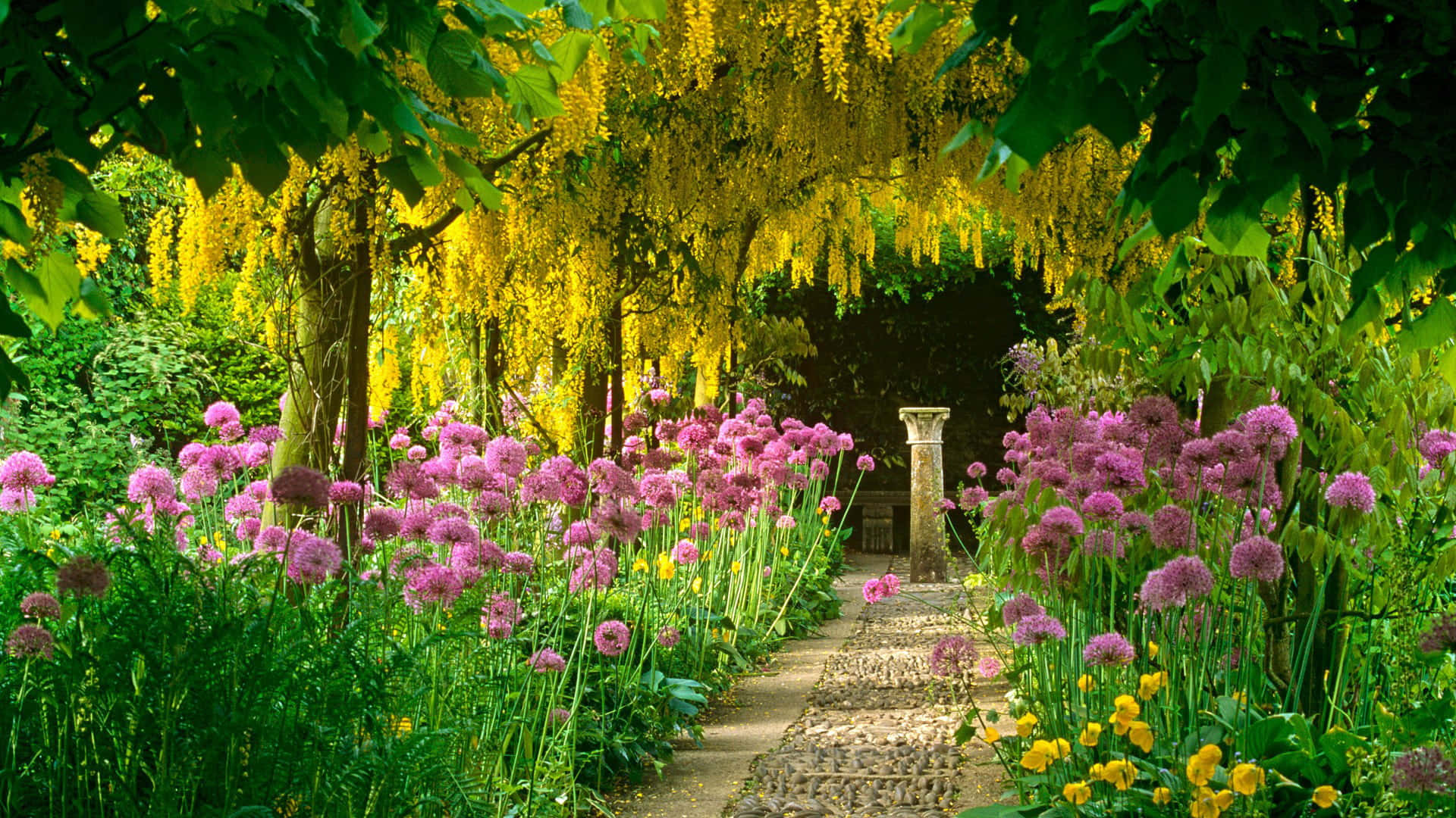a pathway with flowers and trees in the garden