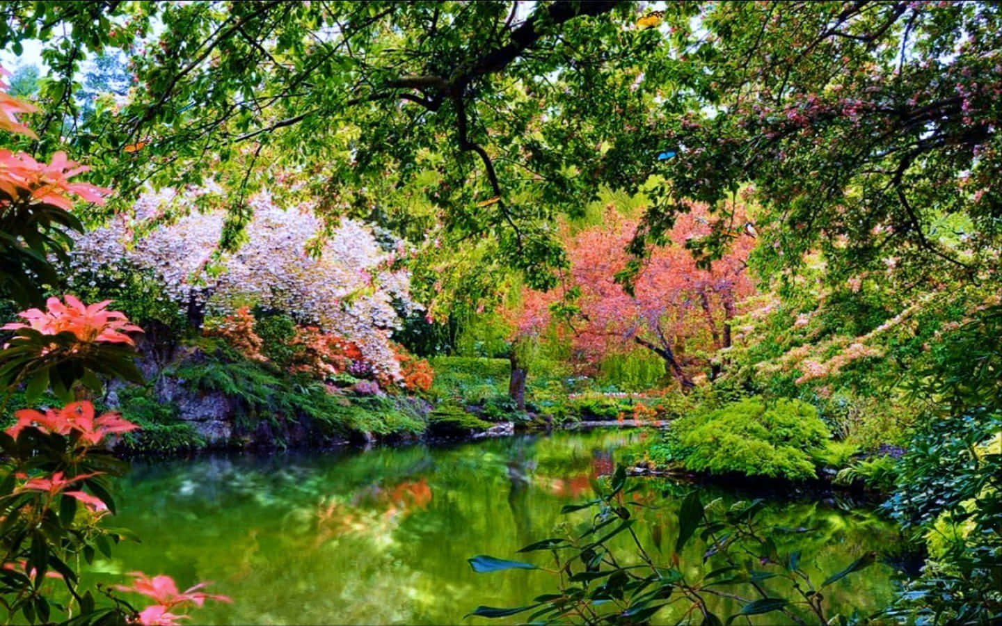 a pond with colorful flowers and trees