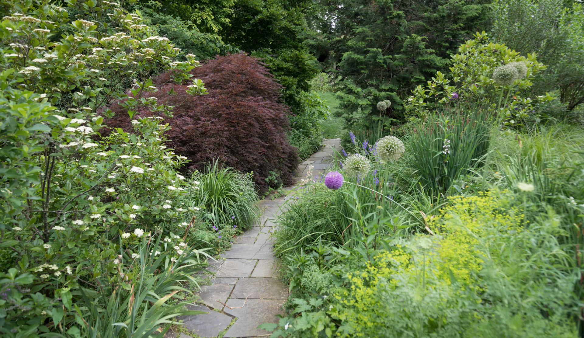 a stone path in a garden