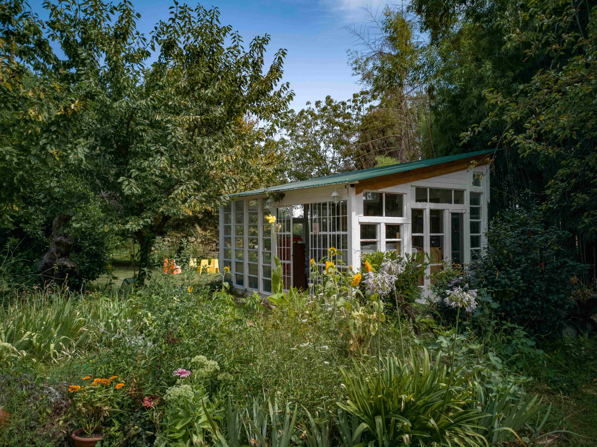a small garden shed in the middle of a garden