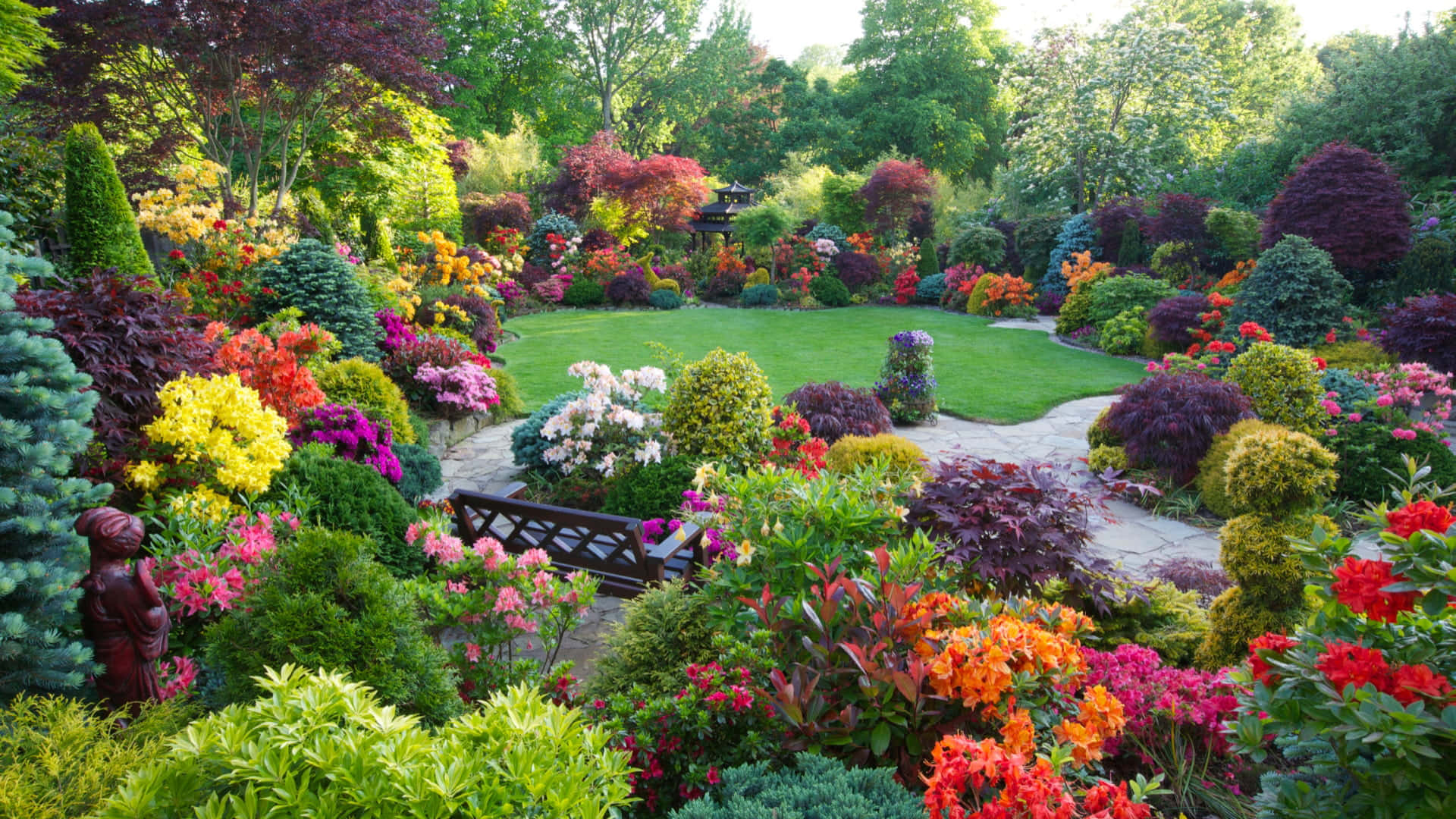 Enfärgglad Trädgård Med Många Olika Blommor