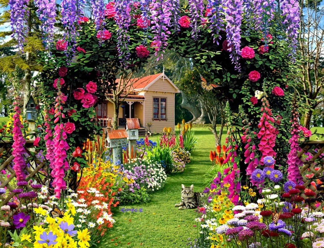 a garden with flowers and a cat