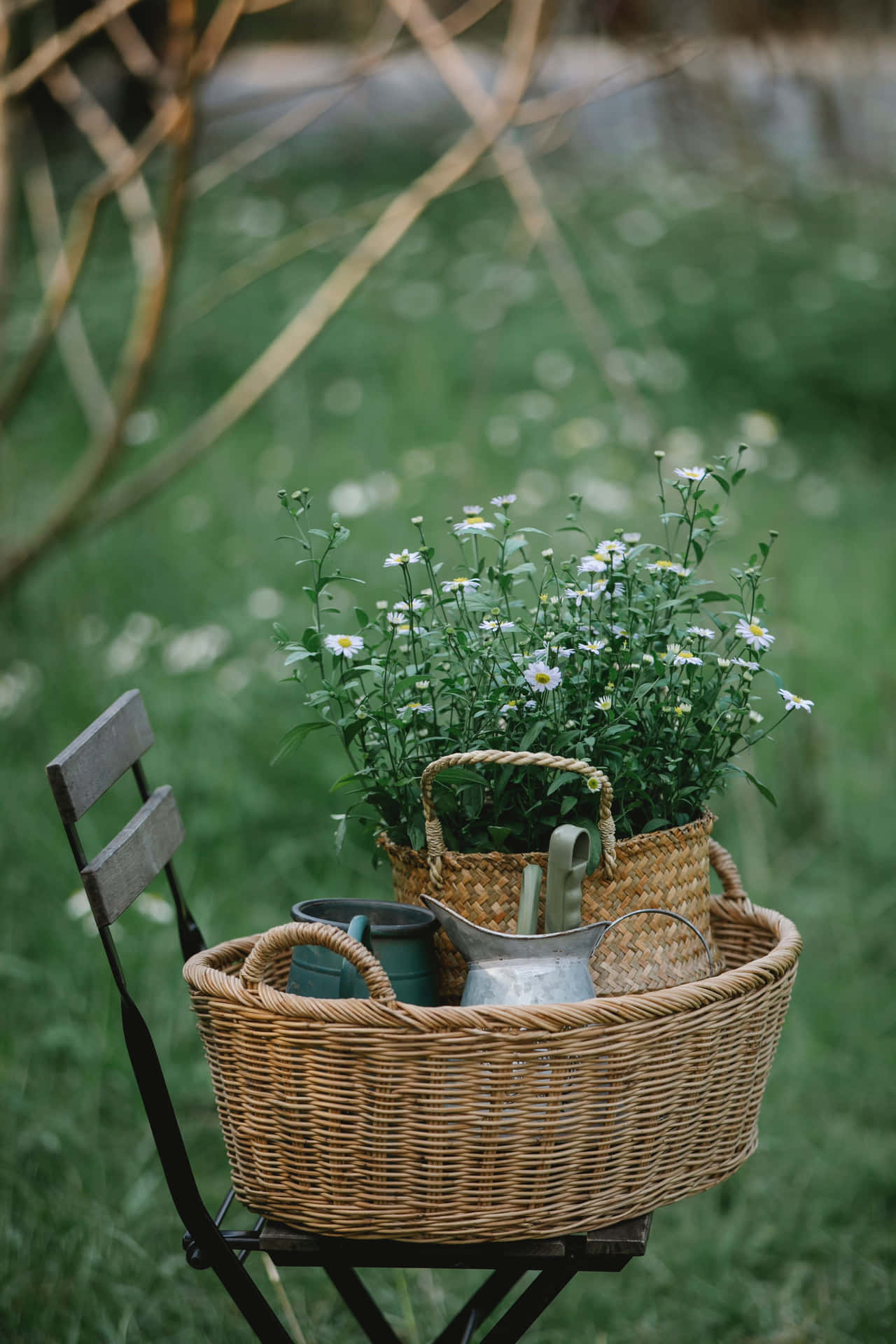 Garden Basketwith Flowersand Tools Wallpaper