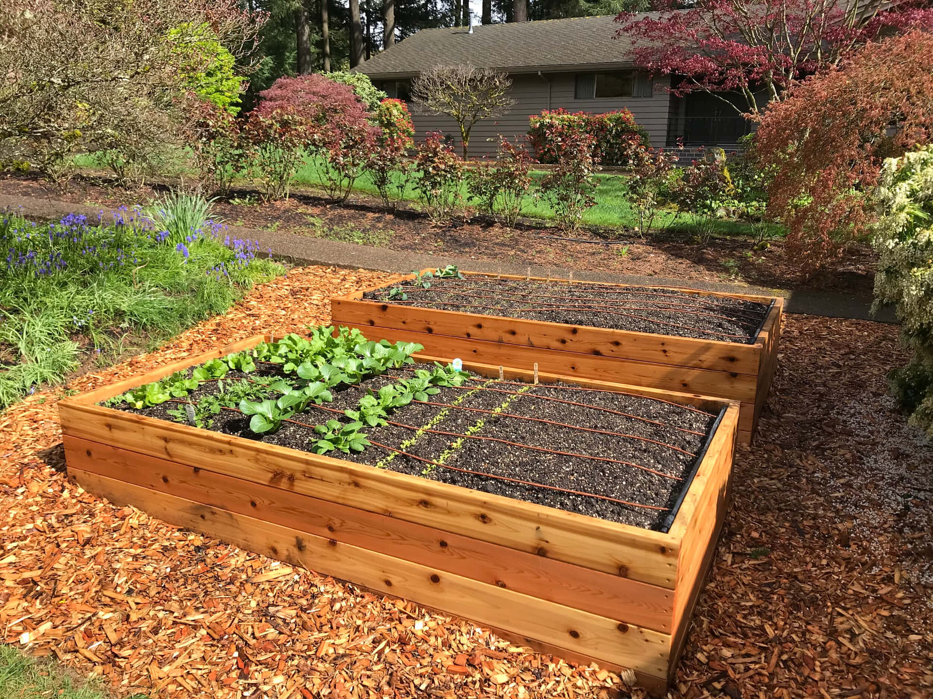 Add Exceptional Beauty to Your Garden with a Customized Raised Garden Bed. Wallpaper