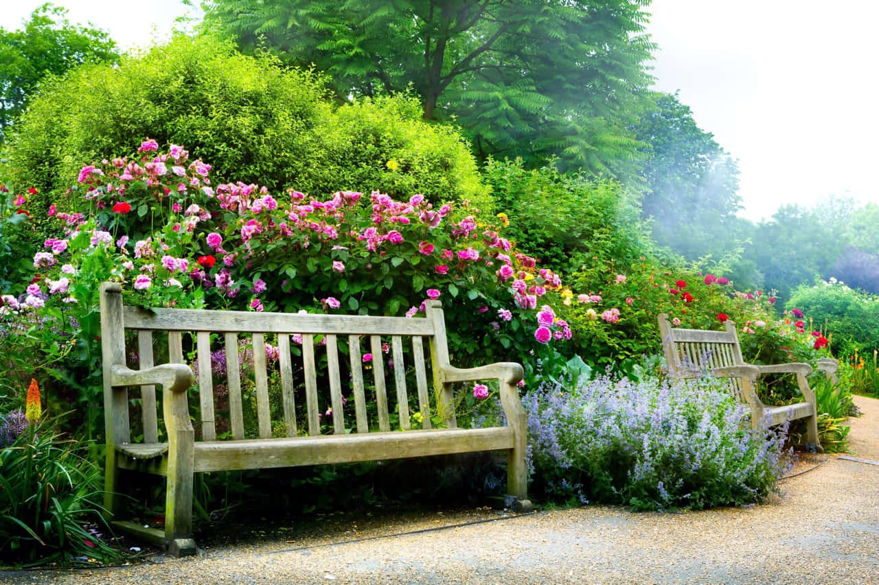 Stunning Garden Oasis: A Tranquil Retreat Wallpaper